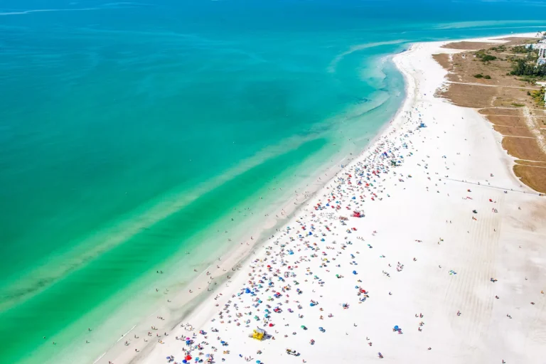 siesta key's beaches